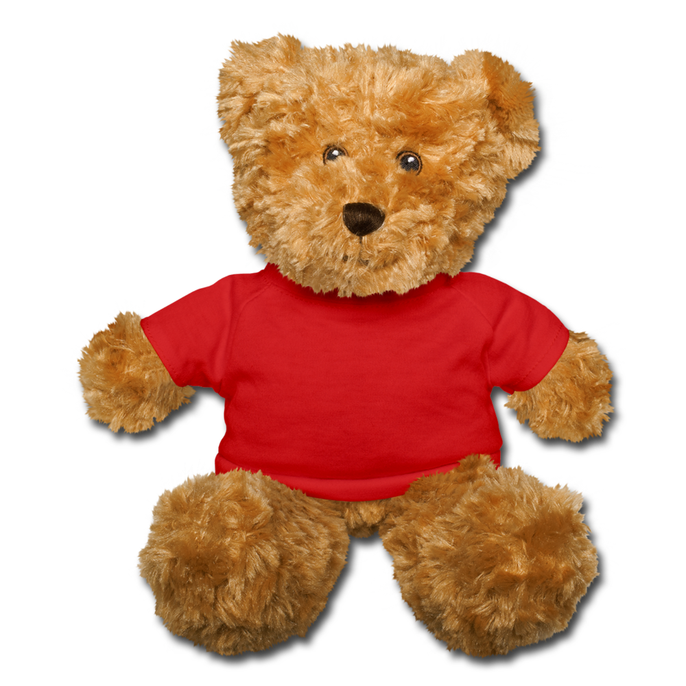 Customizable Teddy Bear add your own photos, images, designs, quotes and more - red