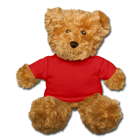 Customizable Teddy Bear add your own photos, images, designs, quotes and more - red
