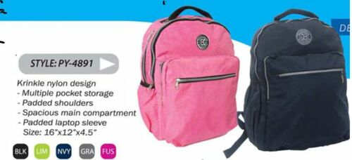 Eurogear's Daypack, Backpack with Padded laptop compartment for school, travel