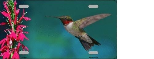 HUMMING BIRD NOVELTY METAL LICENSE PLATE